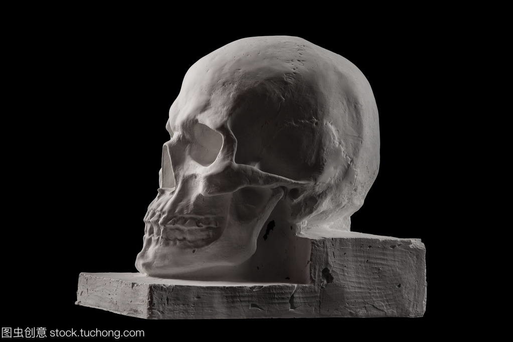 幽暗与形骸 黑色背景下的石膏解剖雕塑
